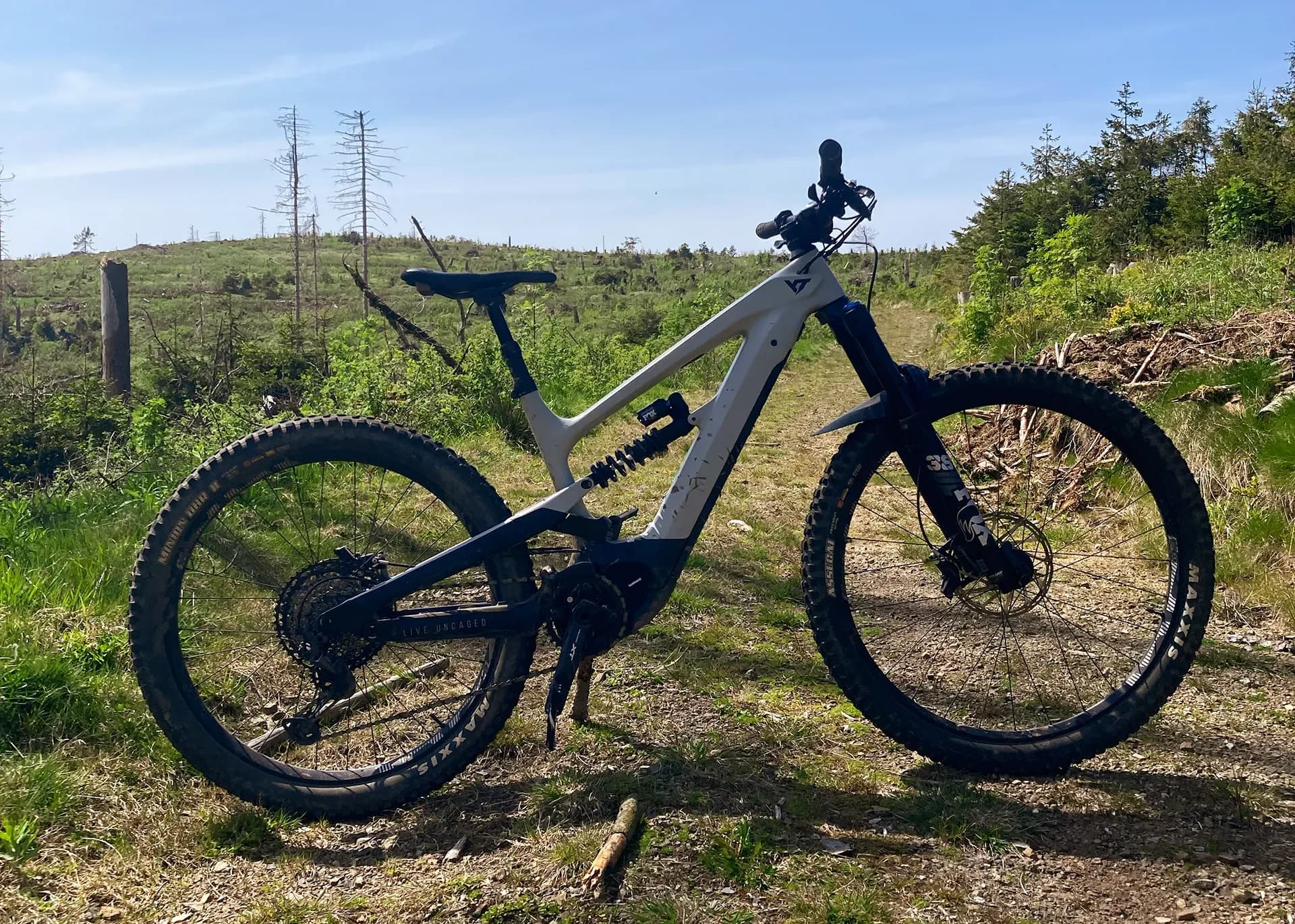 YT Decoy Shred im Harz